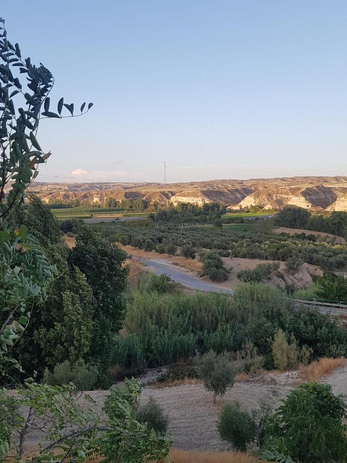 Апартаменты Cueva Maite Кортес-де-Баса Экстерьер фото